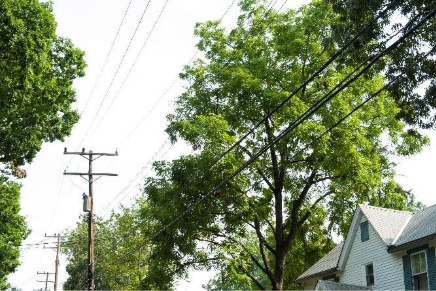 A house with power lines and trees
AI-generated content may be incorrect.