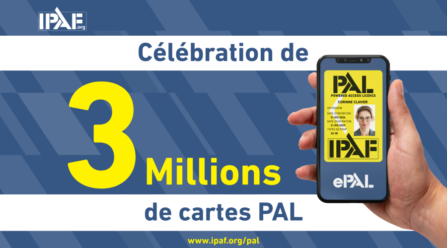 3 mill PAL Cards FR